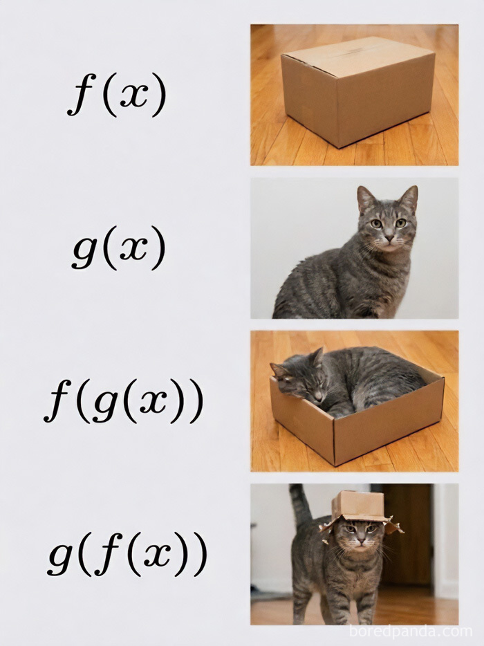 Cat and box math composite function meme explaining math concepts through funny physics posts