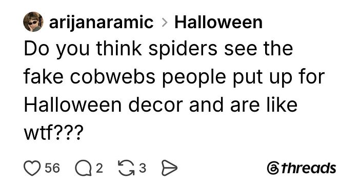 Funny Halloween posts screenshot about spiders reacting in confusion to fake cobweb decor.