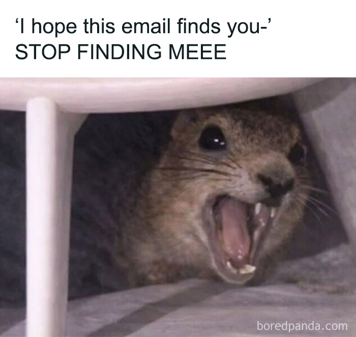 Angry otter under a table screaming in a relatable animal meme about receiving work emails.