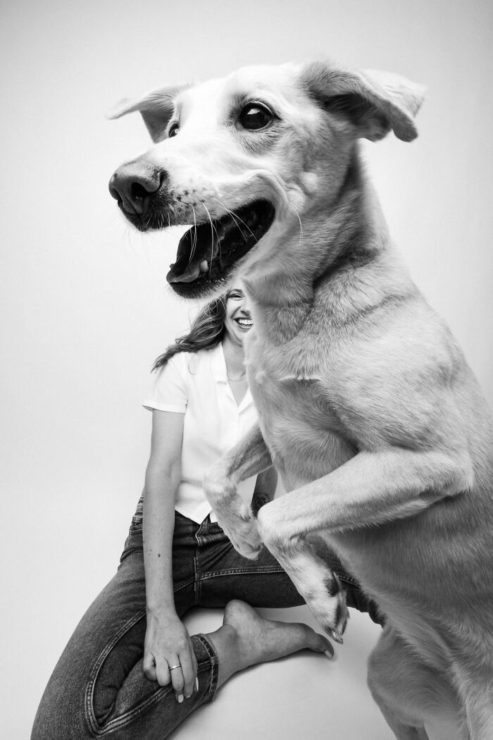 A black and white portrait of a happy dog jumping near its smiling owner, an entry in the Dog Photography Awards.