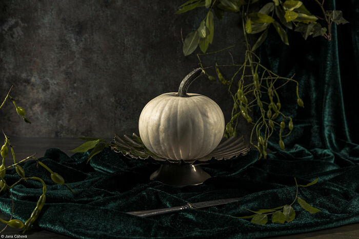 Elegant white pumpkin displayed on a pedestal dish over dark green velvet.