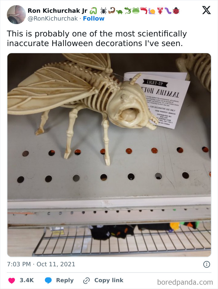 A social post showing a skeleton bug decoration featured in hilarious Halloween tweets