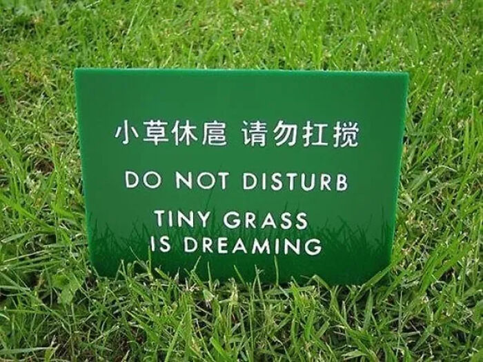 Green lawn sign with a translation fail reading Do not disturb, tiny grass is dreaming.