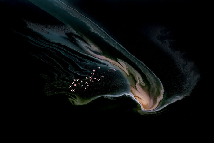 Wildlife photo of pink flamingos flying over abstract swirl patterns in deep blue water.