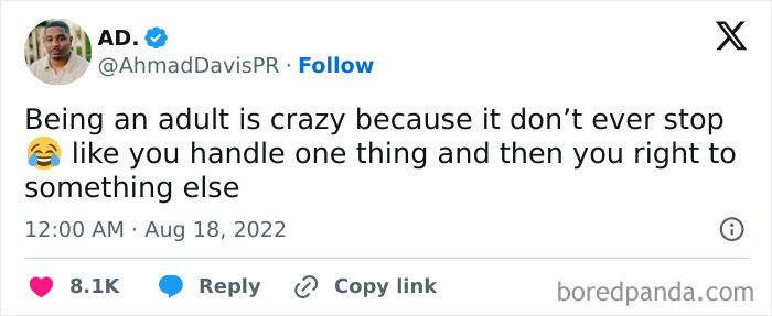 Humorous tweet on the craziness of being an adult meme