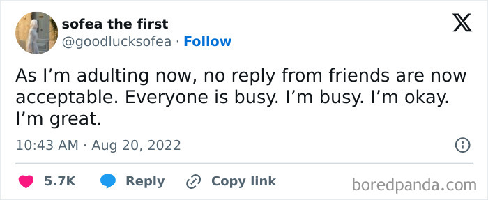 Tweet about adulting and no replies from friends being acceptable meme