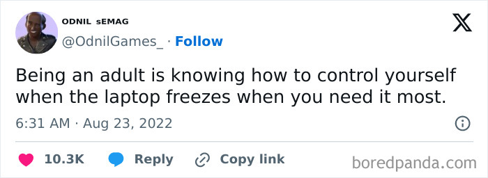 Relatable adult meme about controlling yourself when laptop freezes