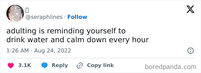 Funny adulting meme about drinking water and staying calm regularly