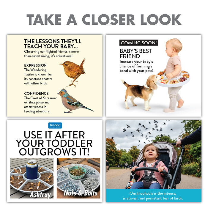 Four panels showcasing hilarious gift box features with fake products and funny descriptions. Four panels showcasing hilarious gift box features with fake products and funny descriptions.
