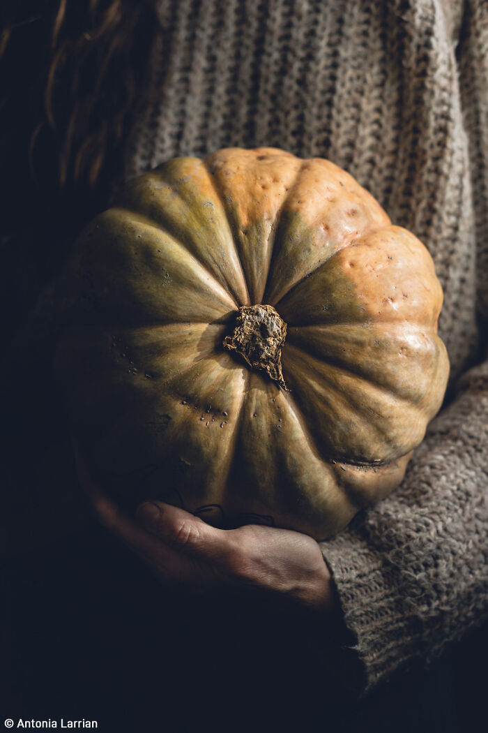Person wearing a knit sweater holding a large heirloom pumpkin.