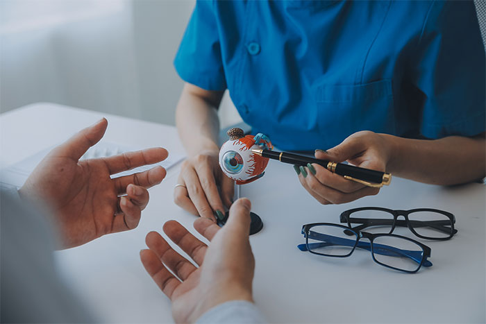 Eye doctor using model to explain eye anatomy and care Eye doctor using model to explain eye anatomy and care