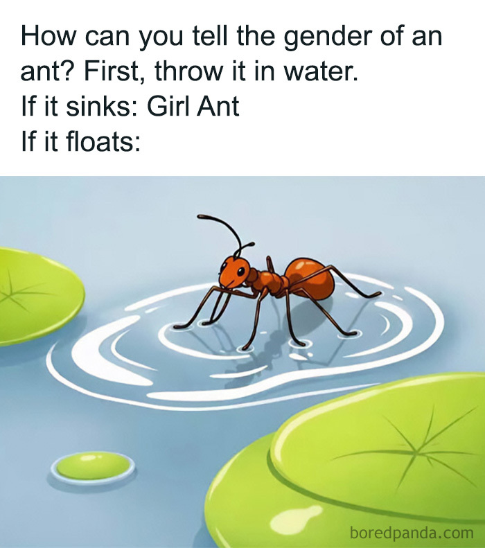 A pun riddle about telling the gender of an ant, suitable for edgy memes.