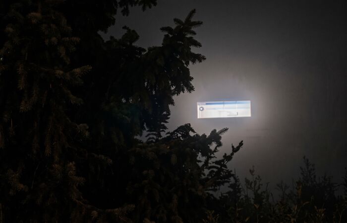 Computer error message reflected in trees during night glitch