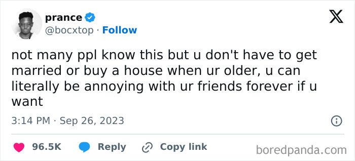 Meme about not needing marriage or house to stay annoying with friends
