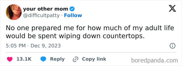 Funny adulting meme about wiping down countertops