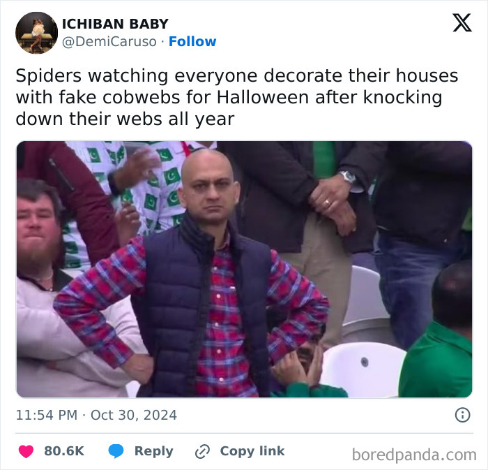 A meme tweet about spiders being annoyed by fake Halloween cobwebs, part of relatable Halloween tweets.