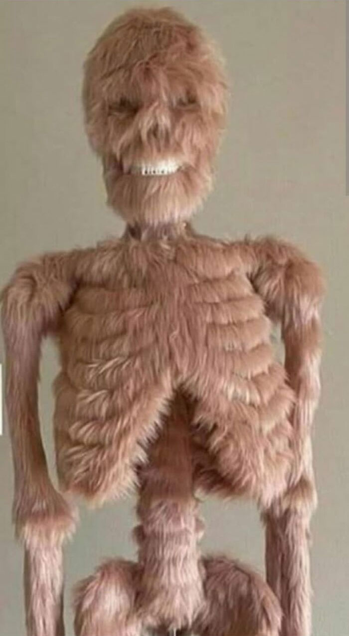 A skeleton covered entirely in fuzzy brown fur, a hilarious art project gone wrong.
