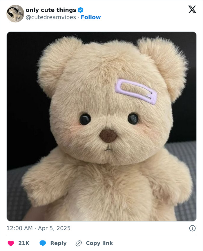 Soft plush teddy bear with purple hair clip on black background