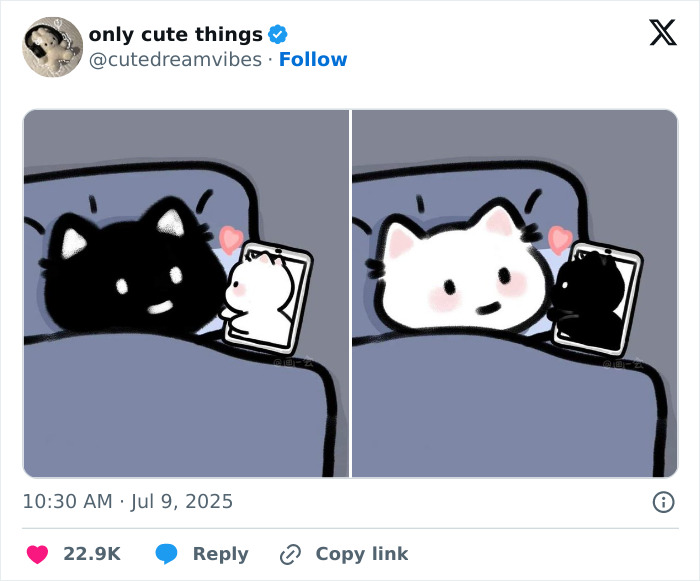 Two cats having video call showing affection in adorable post