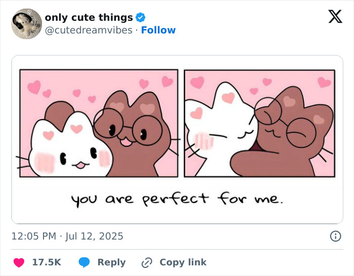 Cartoon cats hugging with hearts saying you are perfect for me adorable love post