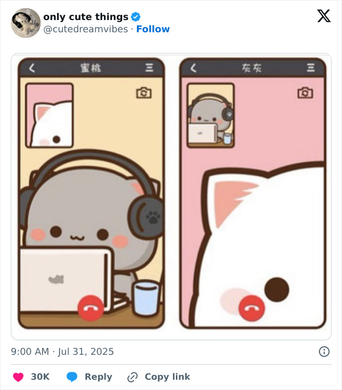 Cartoon cats video calling each other on phones in cute illustration