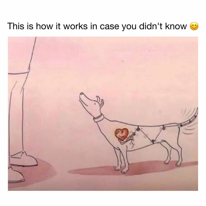 Wholesome dog memes illustration showing a dog tail wagging mechanism connected to its heart.