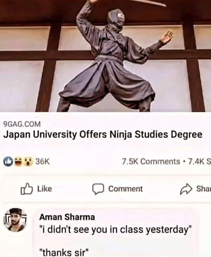 Hilarious memes showing a ninja costume and funny comment about a ninja degree