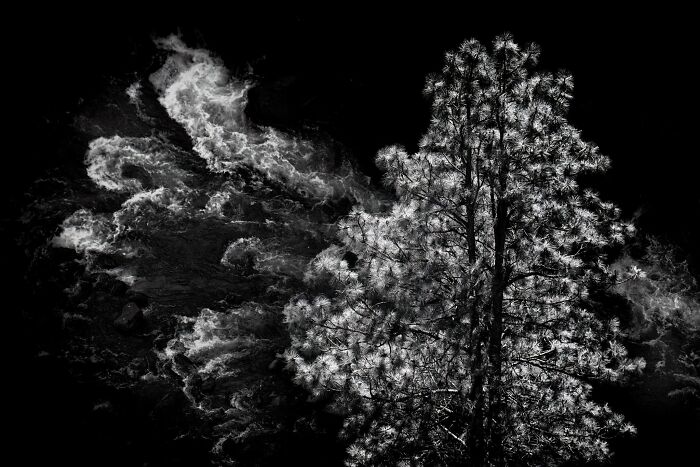 A dramatic black and white landscape photography shot of a frosted tree next to rushing water.