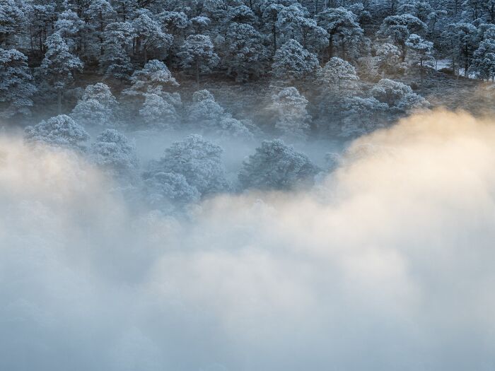 Misty clouds rolling over frosted forest canopy in Natural Landscape Photography Awards entry.
