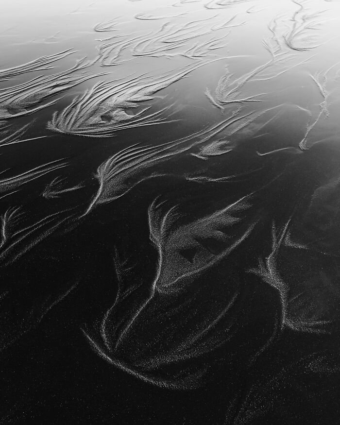 Black and white natural landscape photography displaying feather-like textures in wet beach sand.