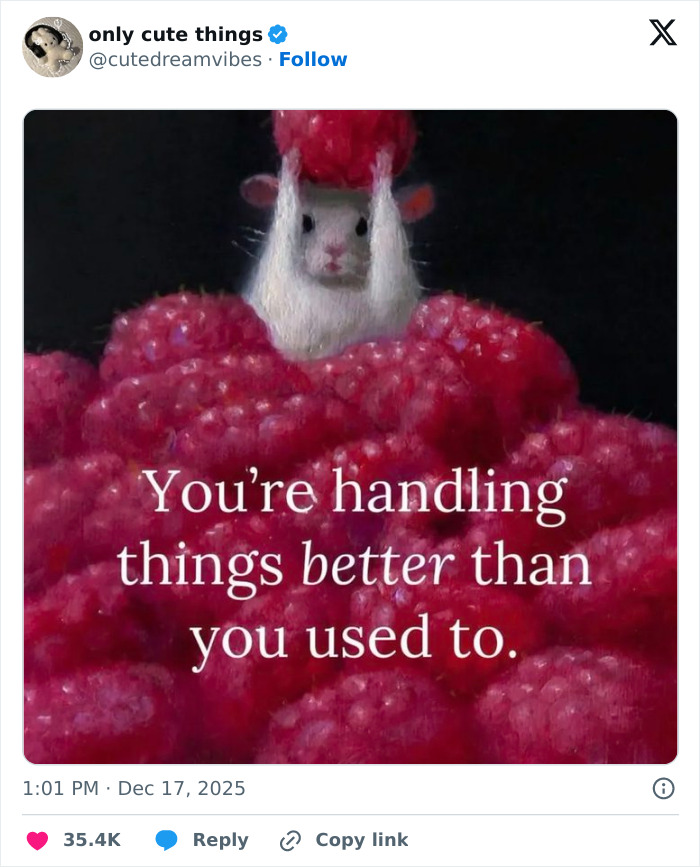 Mouse emerging from raspberries with encouraging text about handling things better
