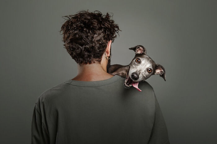 A cheerful small dog peeking over a man's shoulder, an entry in the Dog Photography Awards.