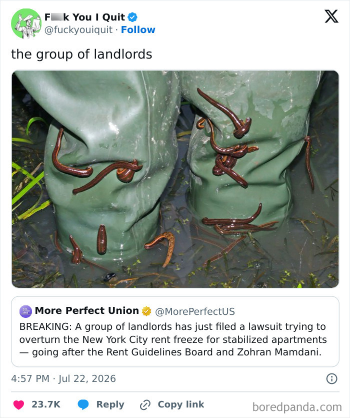 Photo of leeches on pants symbolizing landlords suing against rent freeze in NYC