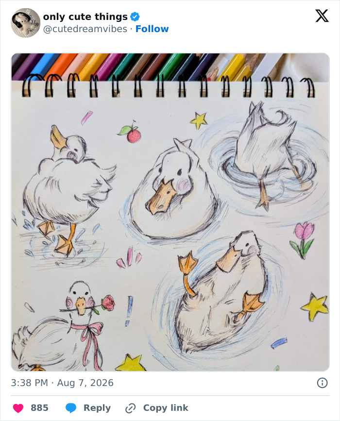 Sketches of ducks in various playful poses with colorful stars and flowers