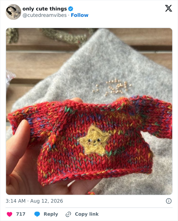 Hand holding a tiny red knitted sweater with a star patch