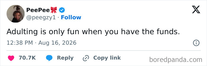 Adulting meme noting it's only fun when you have funds