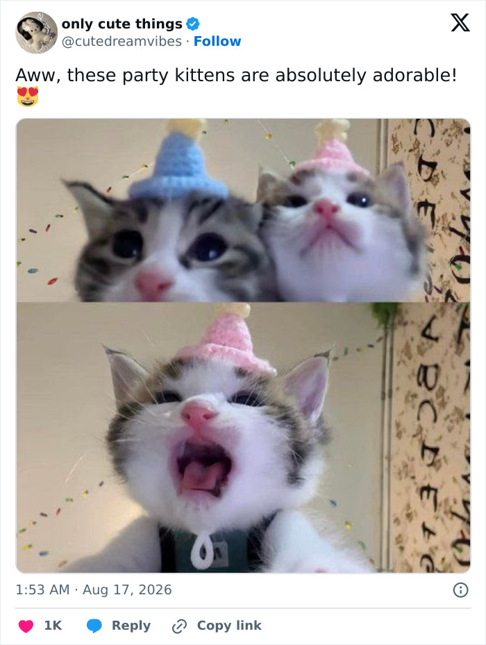 Two kittens wearing party hats with one yawning in adorable close-up