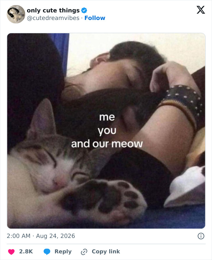 Couple sleeping peacefully with their cat, highlighting adorable moments in life