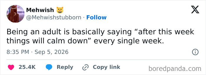 Memes about adulting saying things never calm down every week