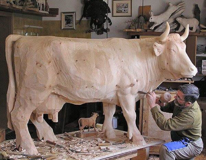 A wood carver sculpting a life-size cow showing intricate detail and clever wooden creations