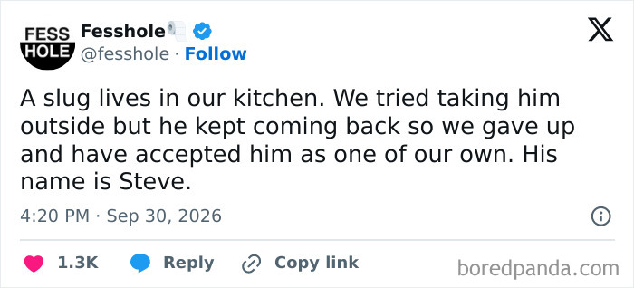 Anonymous confessions post about adopting a kitchen slug named Steve.