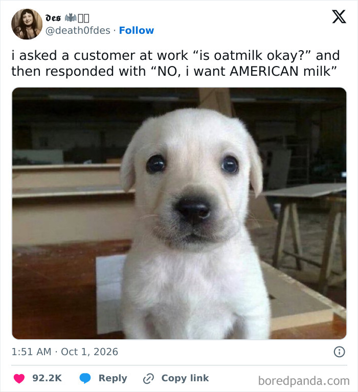 A funny work tweet featuring a confused puppy staring after a strange customer request