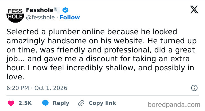 Anonymous confessions screenshot about hiring a handsome plumber and falling in love.