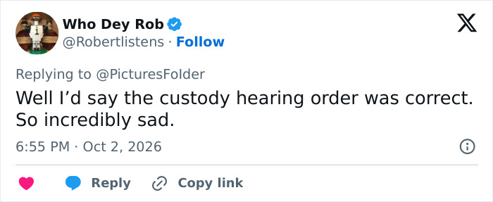 An online comment about the custody battle court decision An online comment about the custody battle court decision