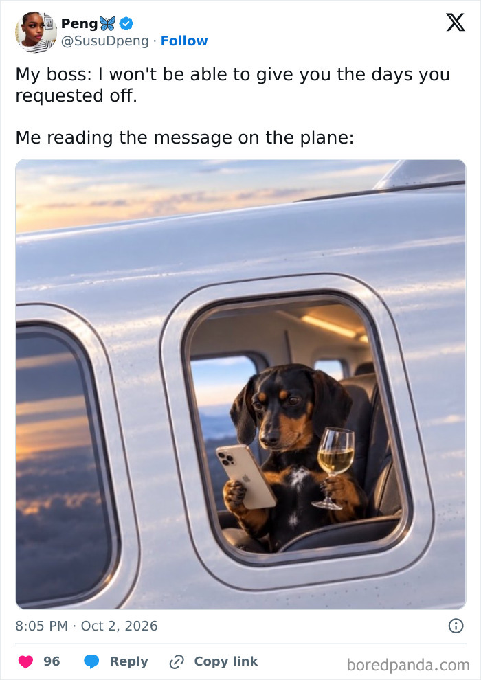 Funny work tweet of a dog drinking wine on a plane after ignoring a boss's request.
