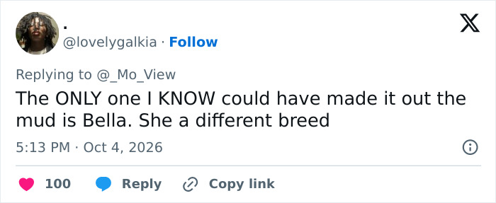 X reply about Bella Hadid compared to Gigi Hadid X reply about Bella Hadid compared to Gigi Hadid