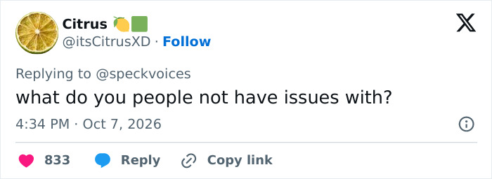 A social media user asking what people do not have issues with during the Zara Larsson debate A social media user asking what people do not have issues with during the Zara Larsson debate