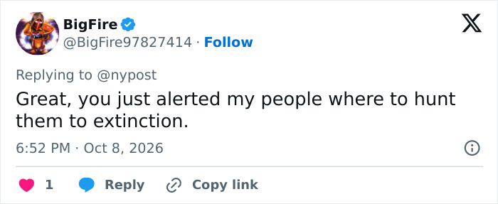 A social media post on X expressing concern about hunting tortoises to extinction