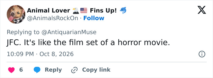 An online reaction to Susan Dell's Transformation describing it like a film set of a horror movie.