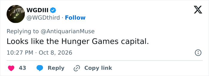 A social media reply comparing looks to the Hunger Games, highlighting Susan Dell's Transformation.